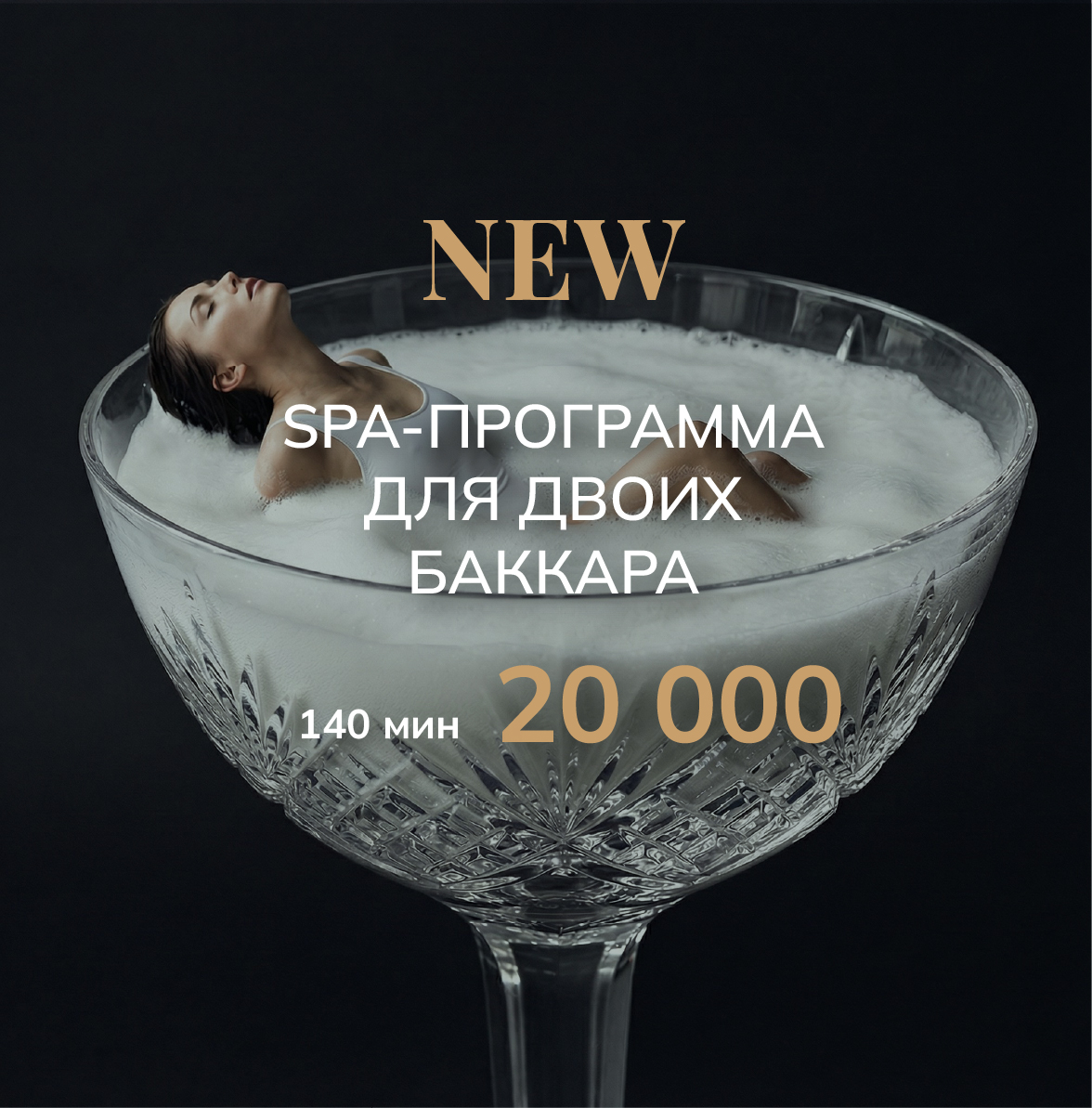 ПРОГРАММА ДЛЯ ДВОИХ БАККАРА